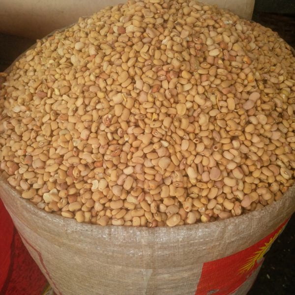 Honey-Beans-Copa-AgroHoney Beans