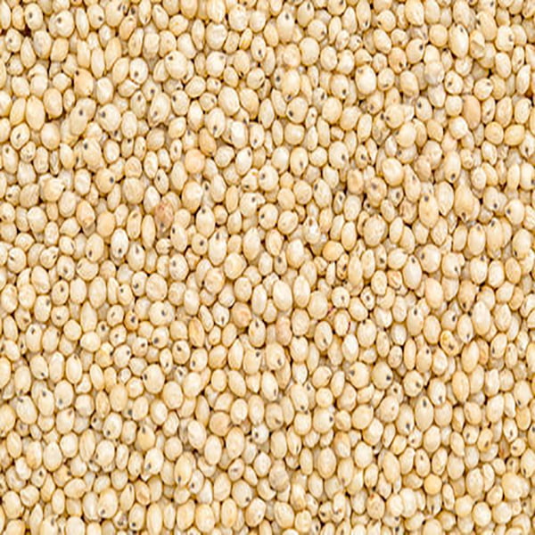 Copa-Agro-Sorghum-product